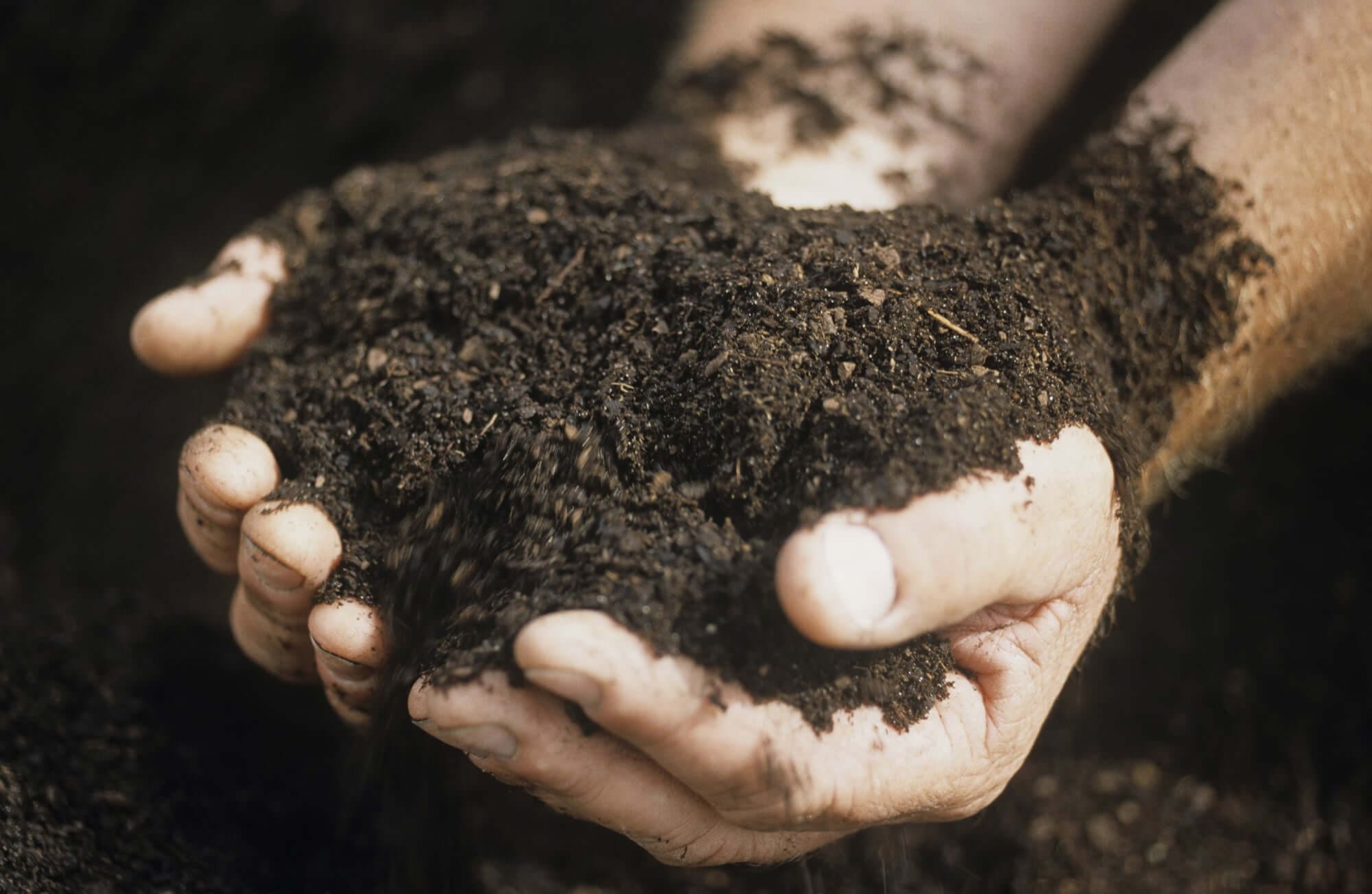 forhåndsvisning Motivering Cornwall Dirt vs Soil vs Topsoil: Is There A Difference? - Hilton Landscape Supply