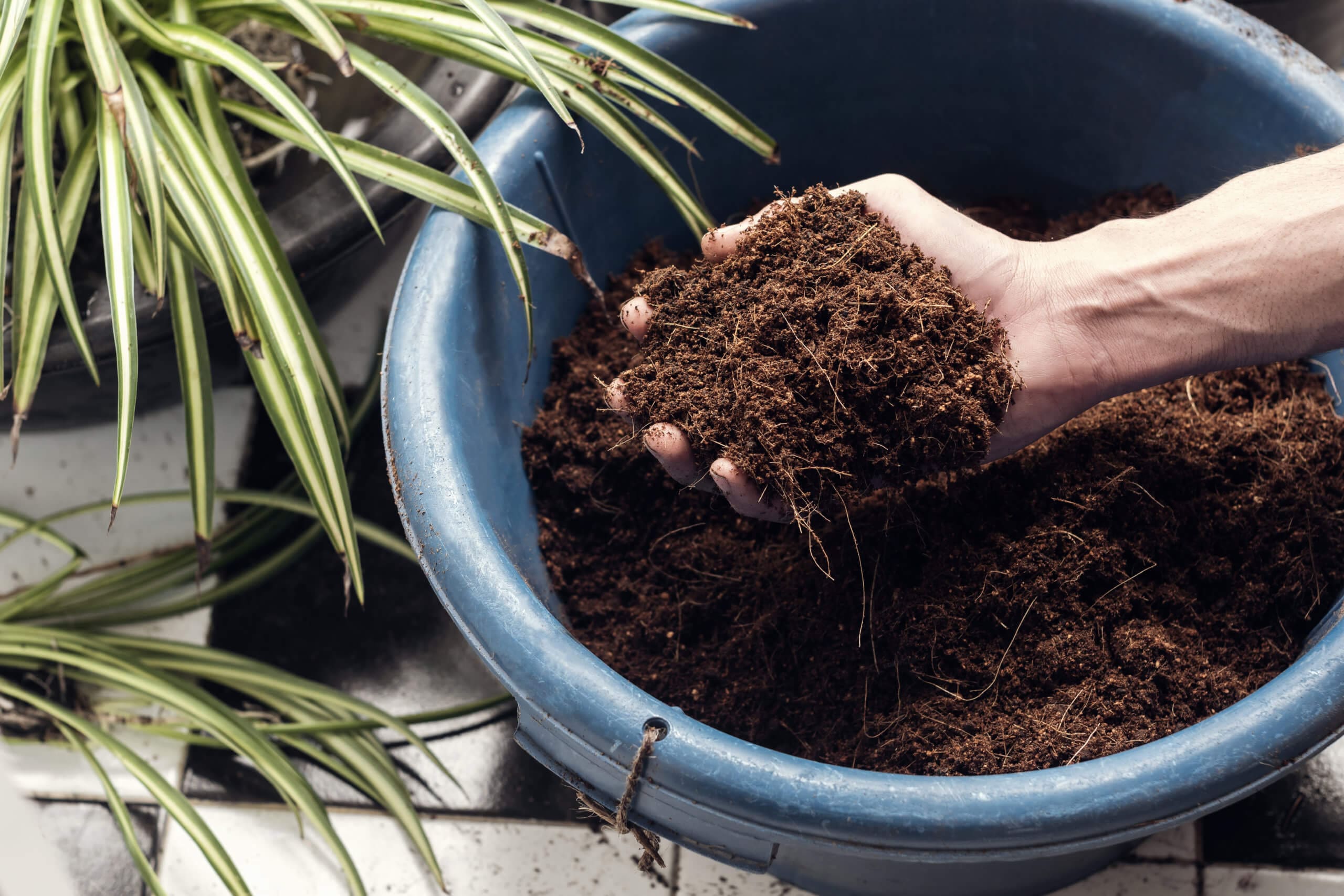 Compost, Aggregates & Pots - Root One