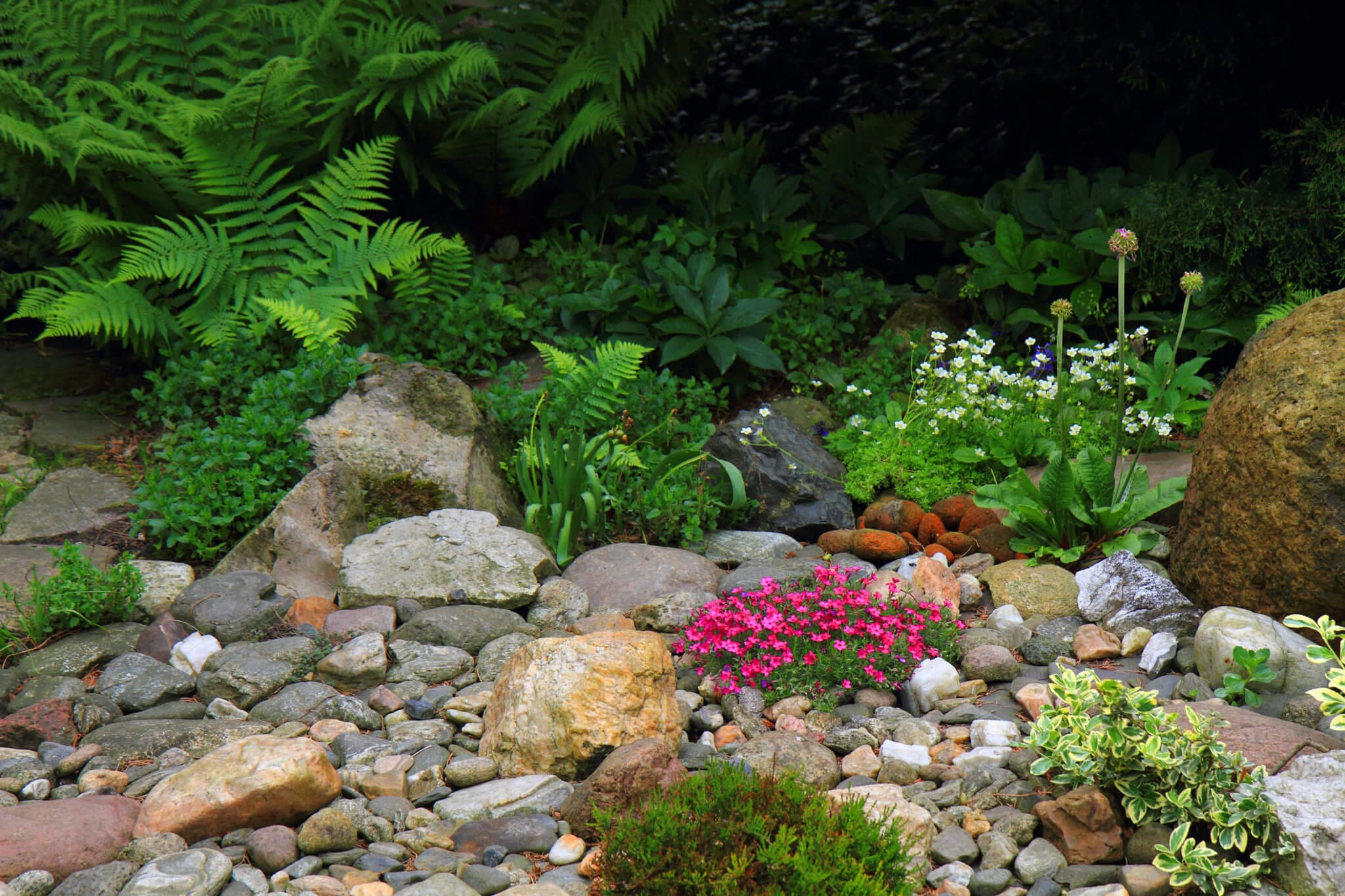 Should I Build A Rock Garden In My Yard Hilton Landscape Supply