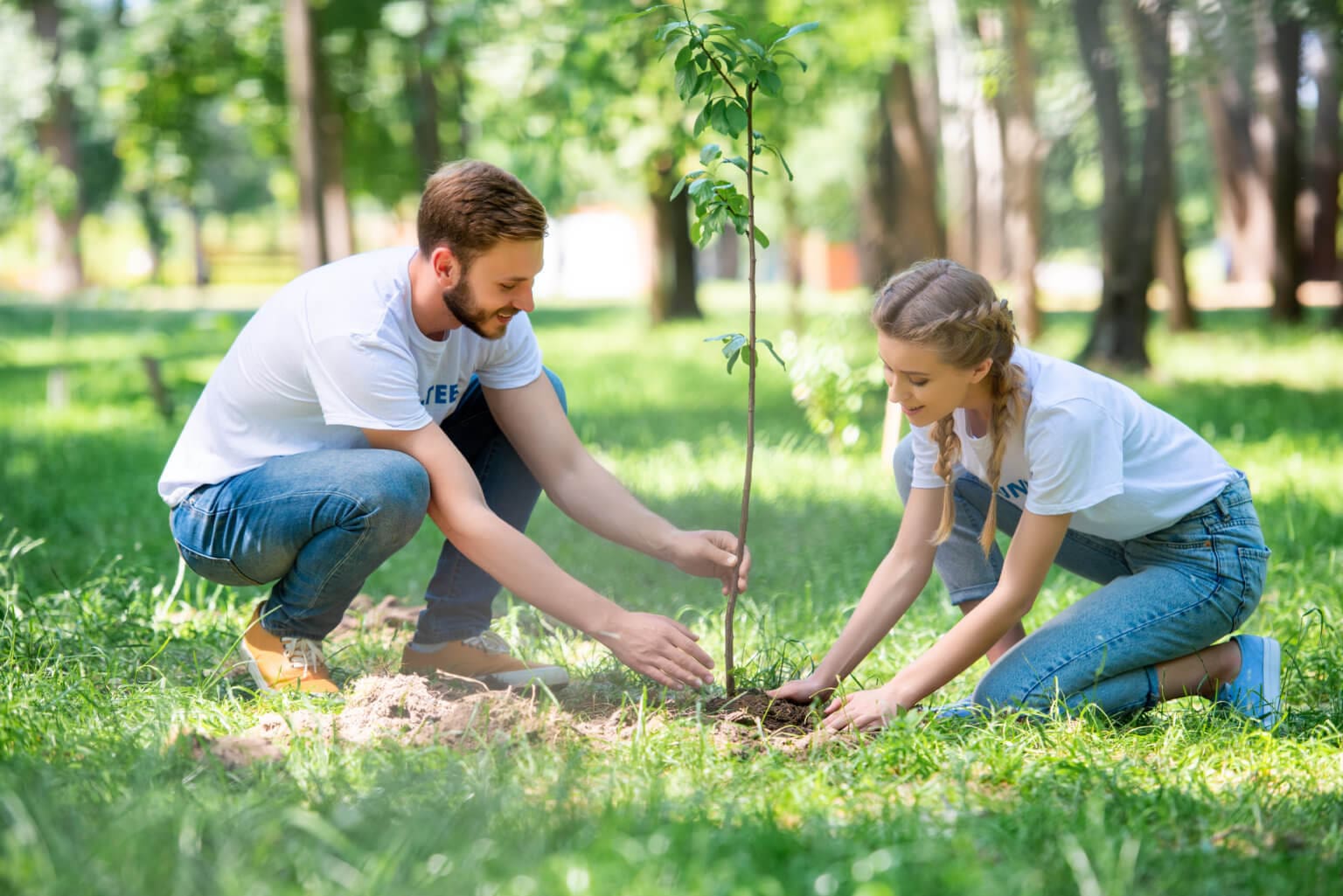 Where to Plant Trees in Your Yard Hilton Landscape Supply
