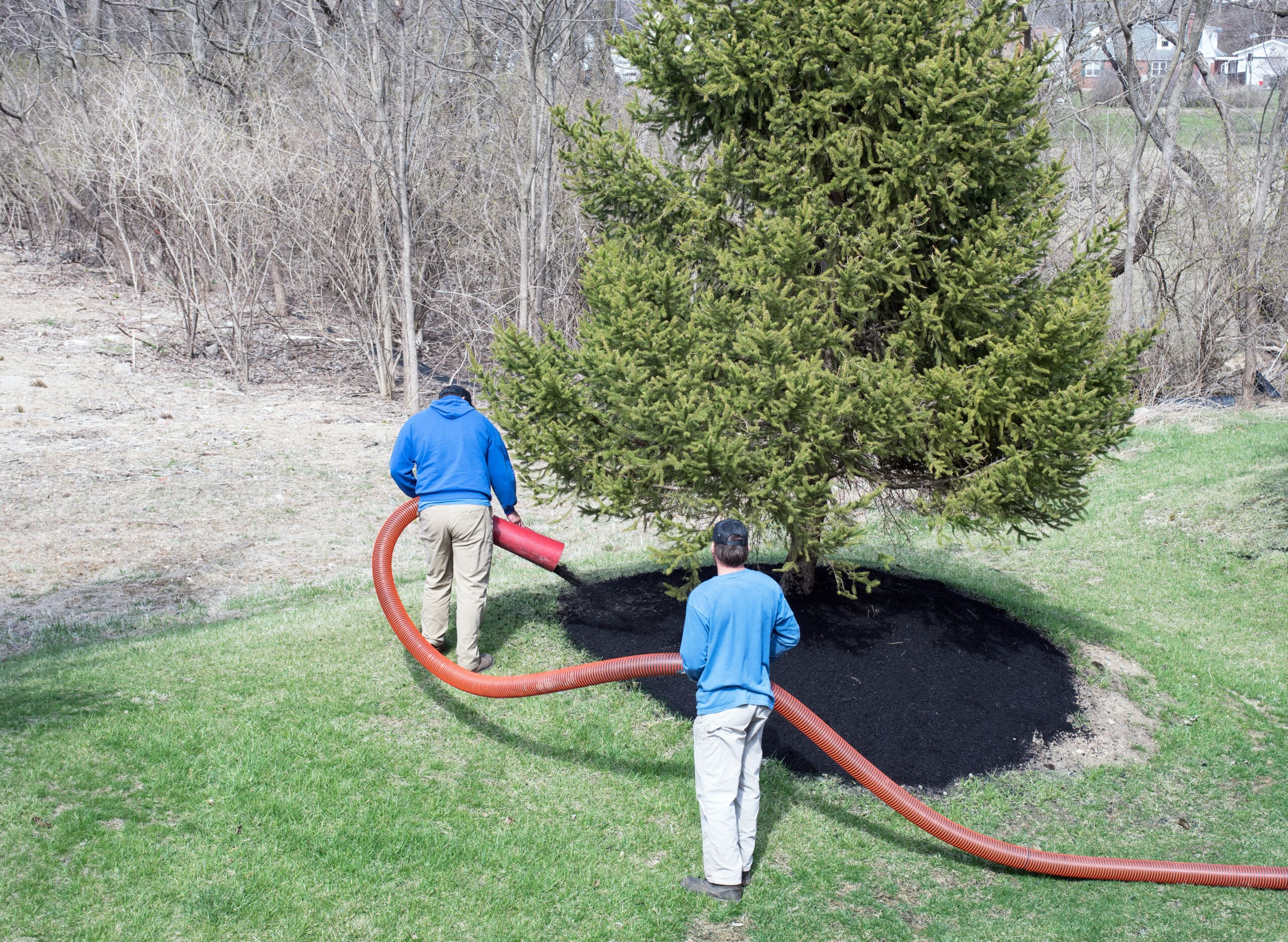 Refresh Your Landscaping with New Bark Mulch Each Year - Hilton ...